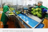 «Белая Дача» намерена построить в Ростовской области завод за $10 млн.