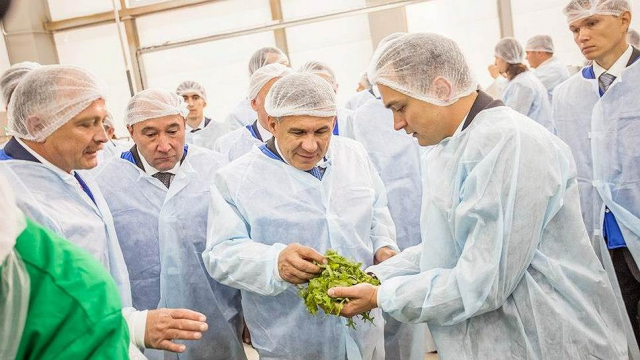 «Белая дача» увеличит производство овощей для последующей переработки в Татарстане и Подмосковье