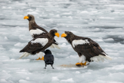 japan-february-2015__58_.jpg