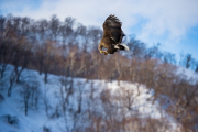 japan-february-2015__72_.jpg