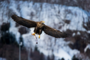 japan-february-2015__73_.jpg