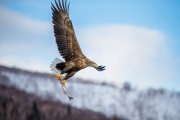 japan-february-2015__75_.jpg