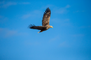 japan-february-2015__79_.jpg