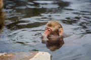 japan-february-2015__88_.jpg